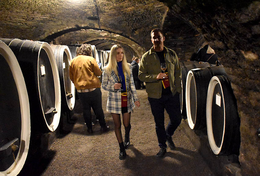 U prigodi Martinja uz domaće i brojni ljubitelji vina iz inozemstva u podrumima kutjevačkih vinara [FOTO]