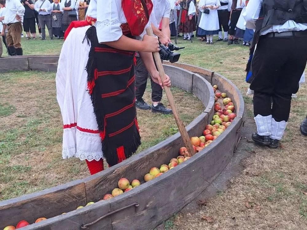 [FOTOGALERIJA] Sve onako kako se to nekad radilo: 44. Ižmača u Beravcima