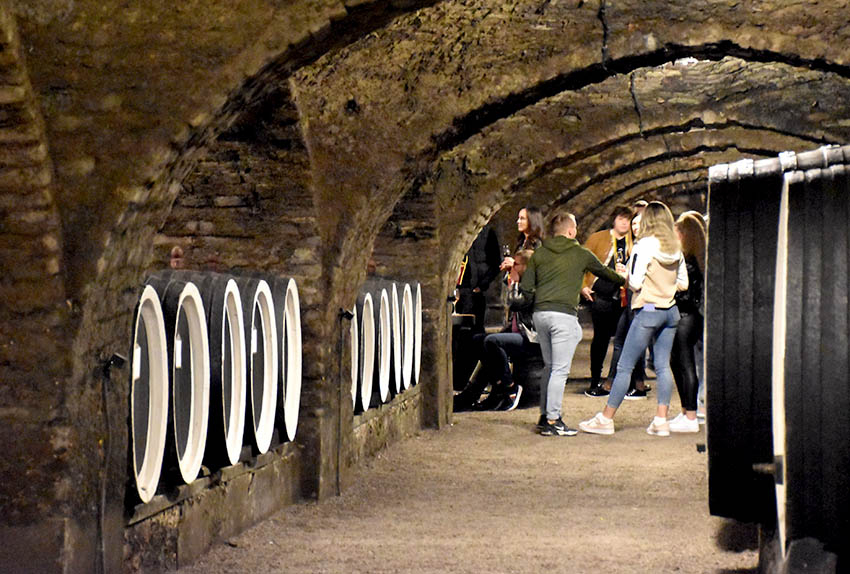 U prigodi Martinja uz domaće i brojni ljubitelji vina iz inozemstva u podrumima kutjevačkih vinara [FOTO]