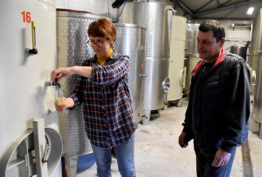 U prigodi Martinja uz domaće i brojni ljubitelji vina iz inozemstva u podrumima kutjevačkih vinara [FOTO]