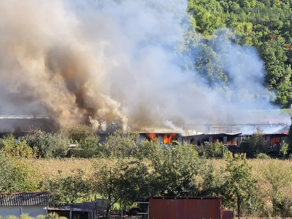 Požega.eu | Veliki požar u Buku: Gori pogon za proizvodnju stolarije - vatrogasci se bore s vatrenom stihijom