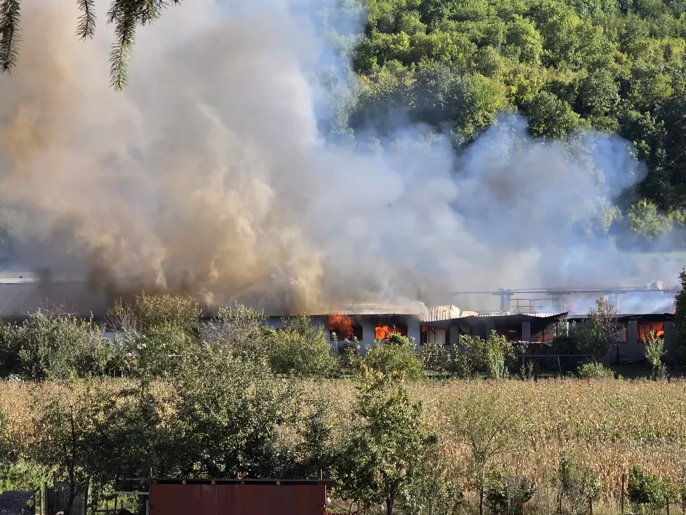 Veliki požar u Buku: Gori pogon za proizvodnju stolarije - vatrogasci se bore s vatrenom stihijom