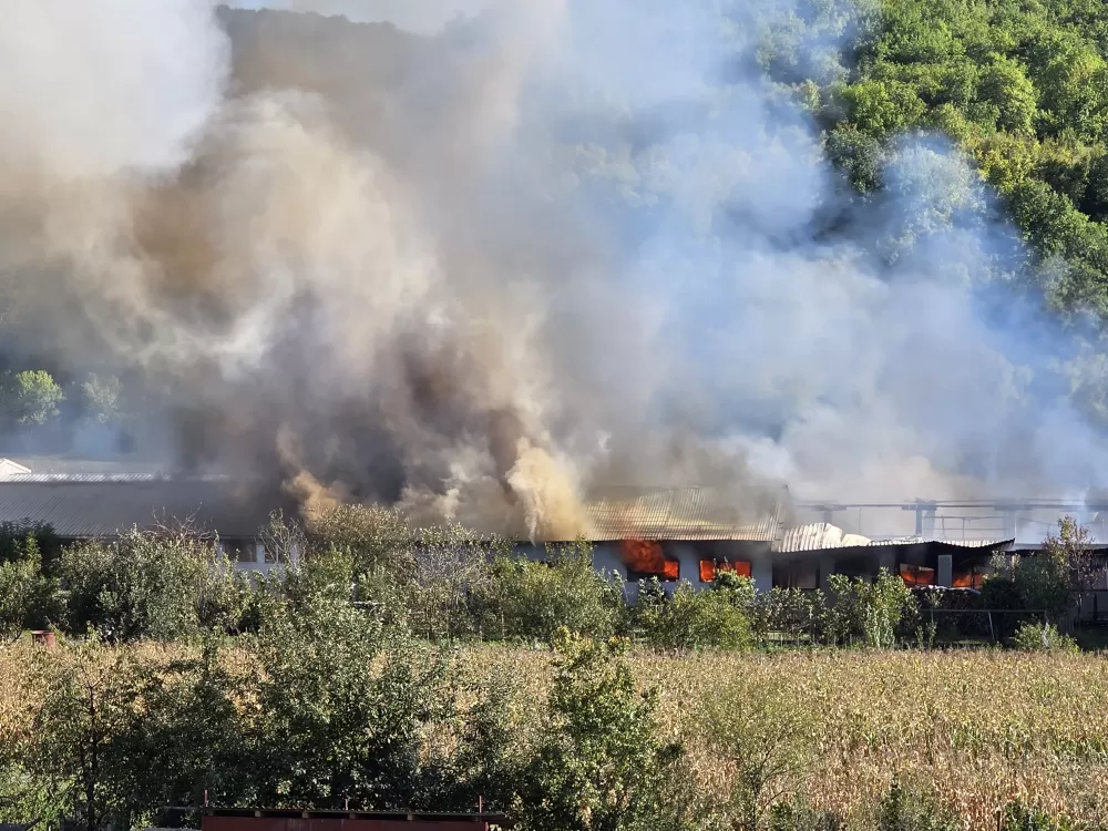 Veliki požar u Buku: Gori pogon za proizvodnju stolarije - vatrogasci se bore s vatrenom stihijom