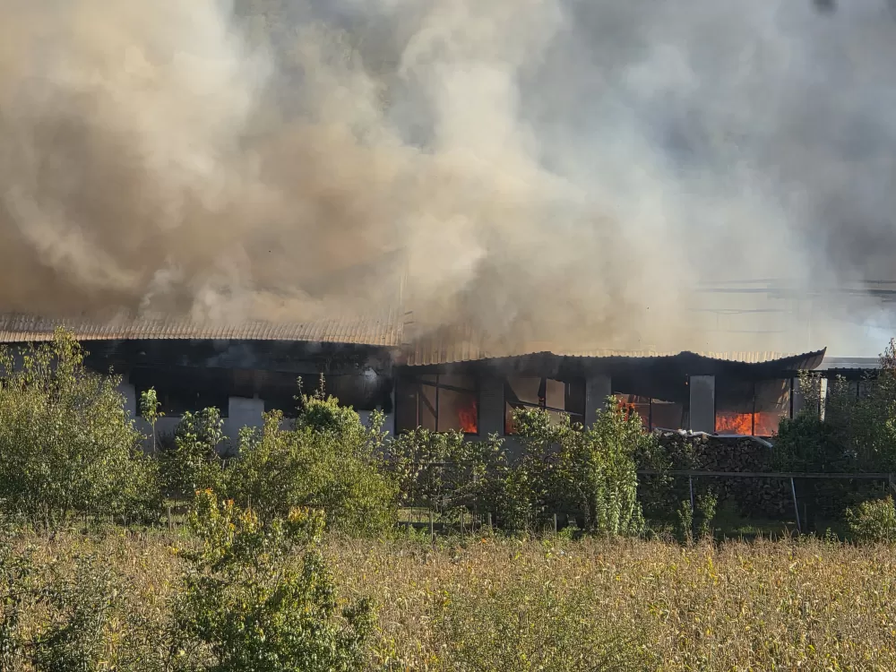 Veliki požar u Buku: Gori pogon za proizvodnju stolarije - vatrogasci se bore s vatrenom stihijom
