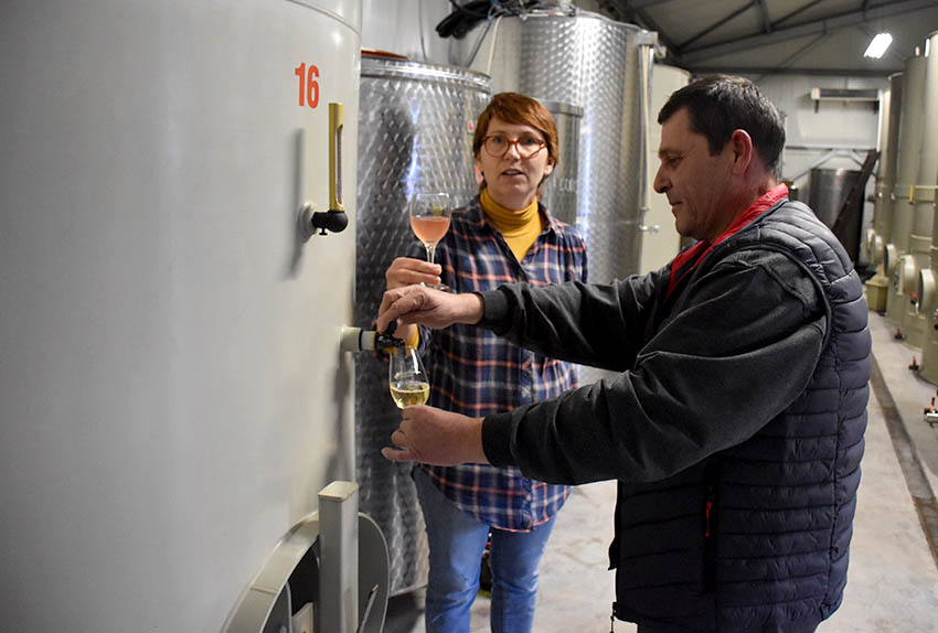 U prigodi Martinja uz domaće i brojni ljubitelji vina iz inozemstva u podrumima kutjevačkih vinara [FOTO]