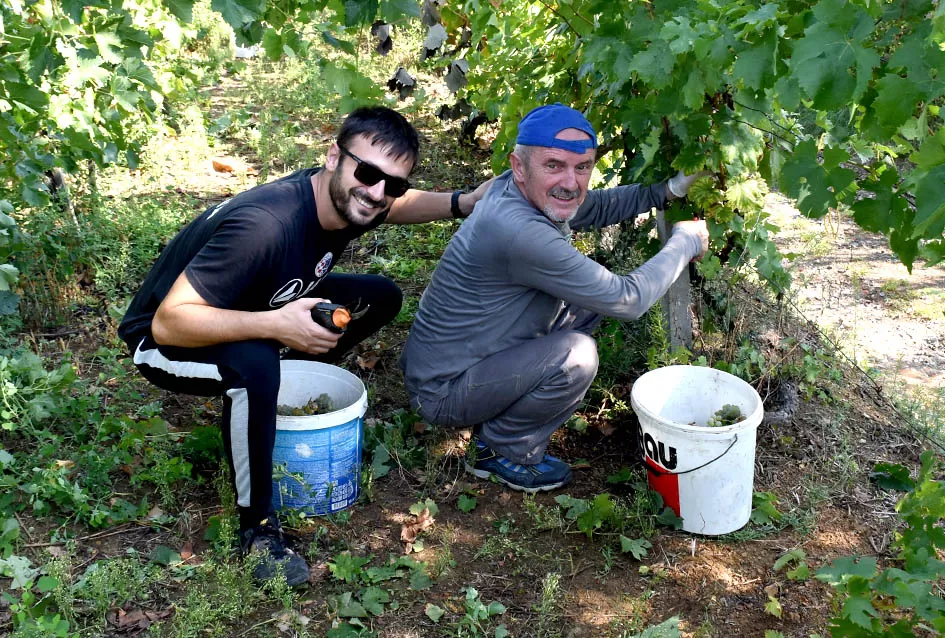 Nedostajalo posuda u podrumu Požežanina Zorana Fumića za ovogodišnju berbu