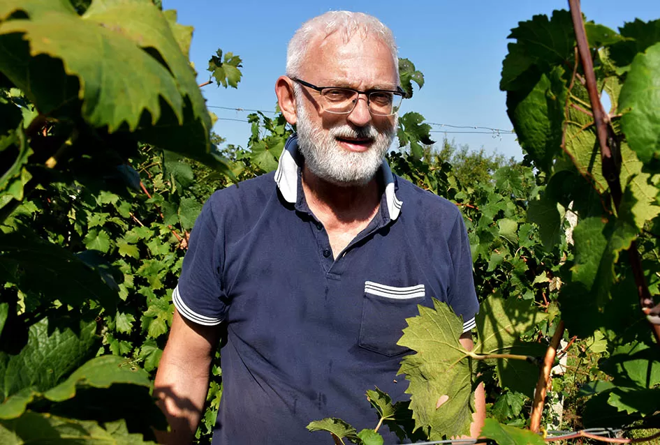 Nedostajalo posuda u podrumu Požežanina Zorana Fumića za ovogodišnju berbu