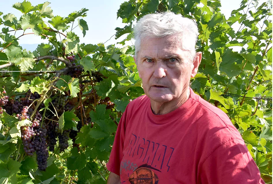 Nedostajalo posuda u podrumu Požežanina Zorana Fumića za ovogodišnju berbu