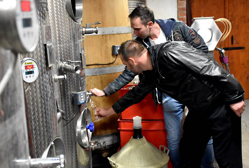 U prigodi Martinja uz domaće i brojni ljubitelji vina iz inozemstva u podrumima kutjevačkih vinara [FOTO]