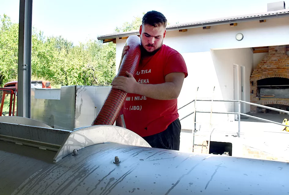 S kombajnom Bodograjčevi iz Kutjeva grožđe beru u krugu obitelji