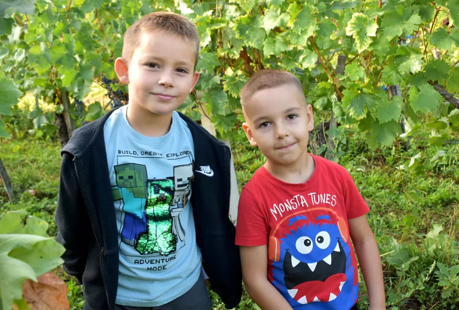 Prinosi i kvaliteta rekordni, nedovoljno bačvi u podrumu