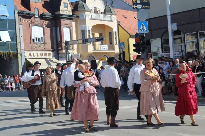 [FOTO] Pleternički umirovljenici prisustvovali  mimohodu na „Vinkovačkim jesenima“ te posjetili Đakovo-srce Slavonije 