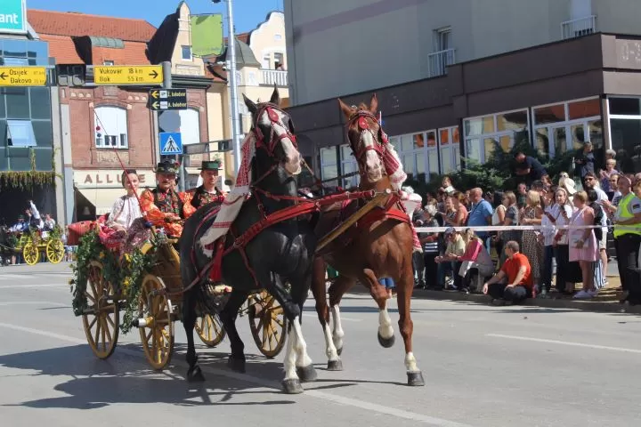 [FOTO] Pleternički umirovljenici prisustvovali  mimohodu na „Vinkovačkim jesenima“ te posjetili Đakovo-srce Slavonije 