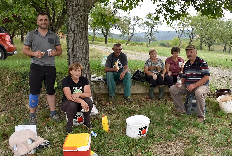 Kutjevački vinogradari Previšići kooperiraju s Kutjevom d.d.