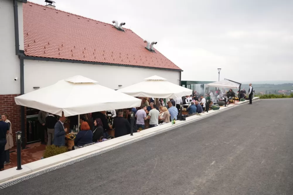(FOTOGALERIJA) Dan berbe u Vinariji Kutjevo d.d. uz zanimljiva natjecanja 