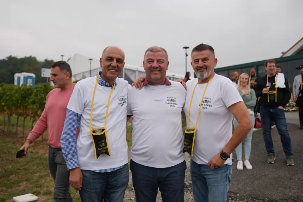 (FOTOGALERIJA) Dan berbe u Vinariji Kutjevo d.d. uz zanimljiva natjecanja 