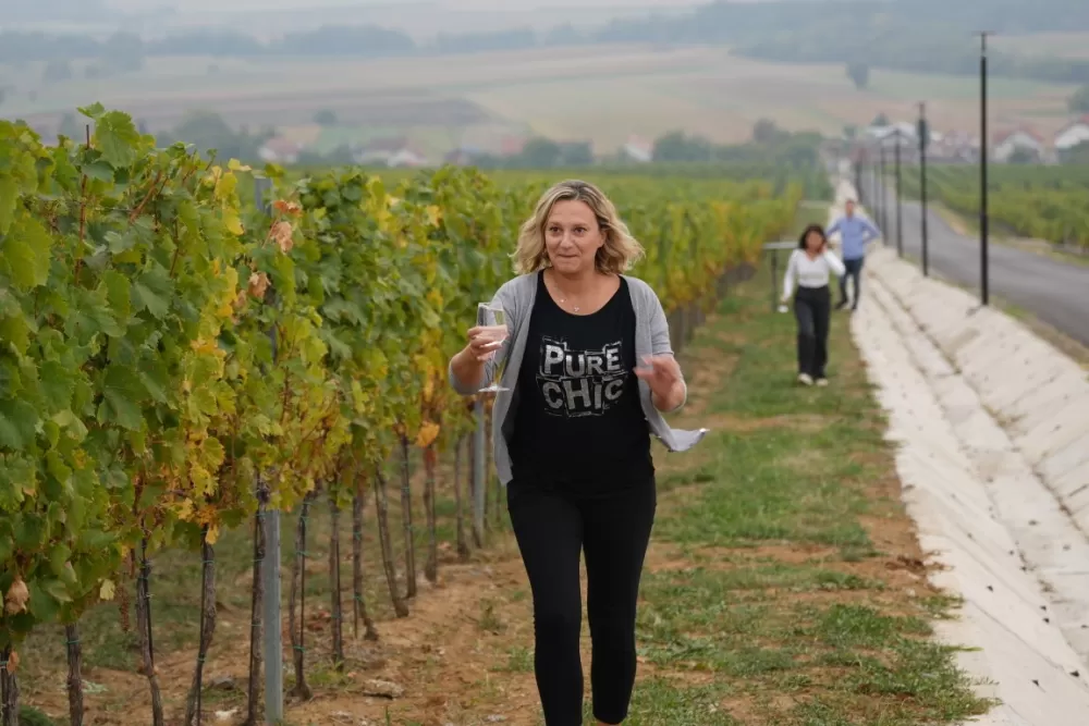 (FOTOGALERIJA) Dan berbe u Vinariji Kutjevo d.d. uz zanimljiva natjecanja 