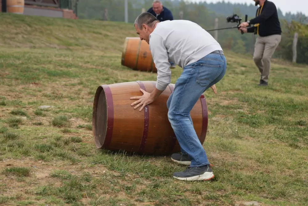 (FOTOGALERIJA) Dan berbe u Vinariji Kutjevo d.d. uz zanimljiva natjecanja 