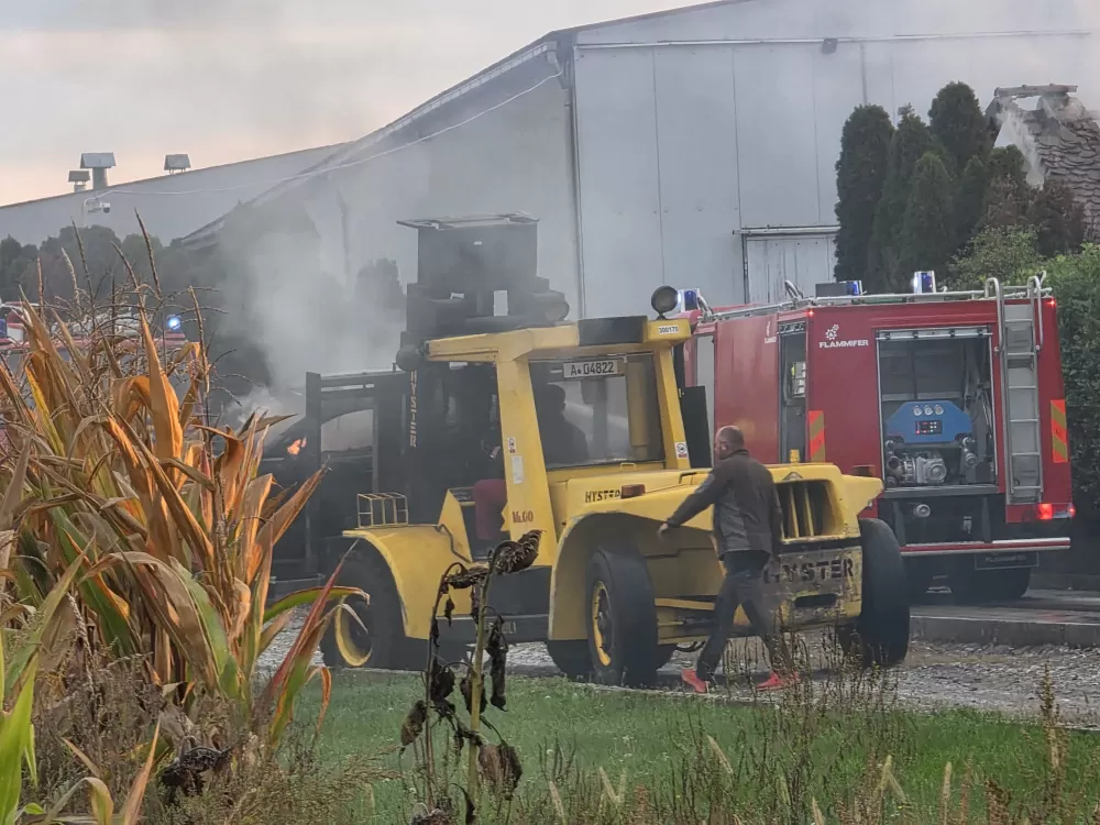 Požar u Alagincima, gore skupocjeni automobili vlasnika Color emajla