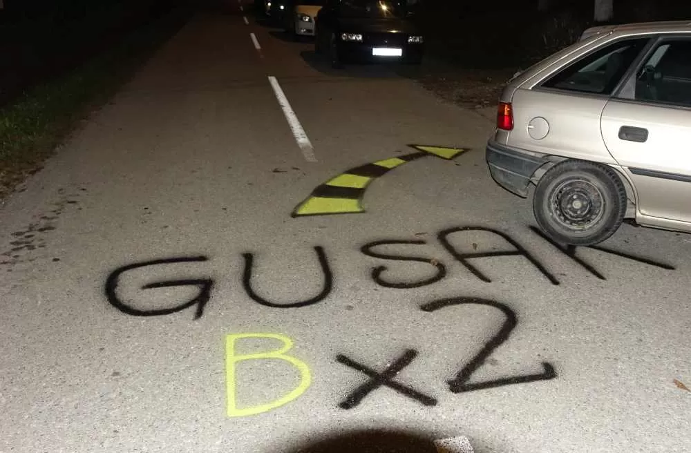 Slavonska fešta za pamćenje: Rođeni blizanci Bruno i Borna, slavilo se uz perje, pjesmu i 90. rođendan pradjeda