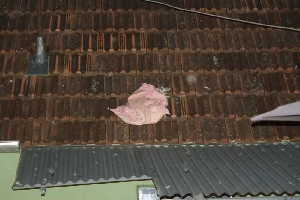 Slavonska fešta za pamćenje: Rođeni blizanci Bruno i Borna, slavilo se uz perje, pjesmu i 90. rođendan pradjeda