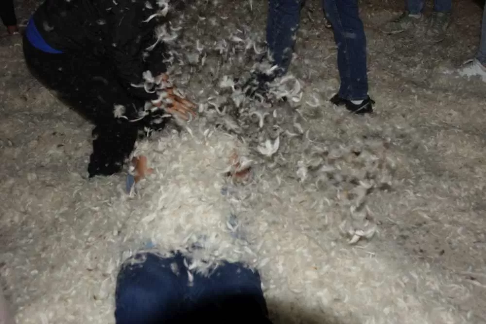 Slavonska fešta za pamćenje: Rođeni blizanci Bruno i Borna, slavilo se uz perje, pjesmu i 90. rođendan pradjeda