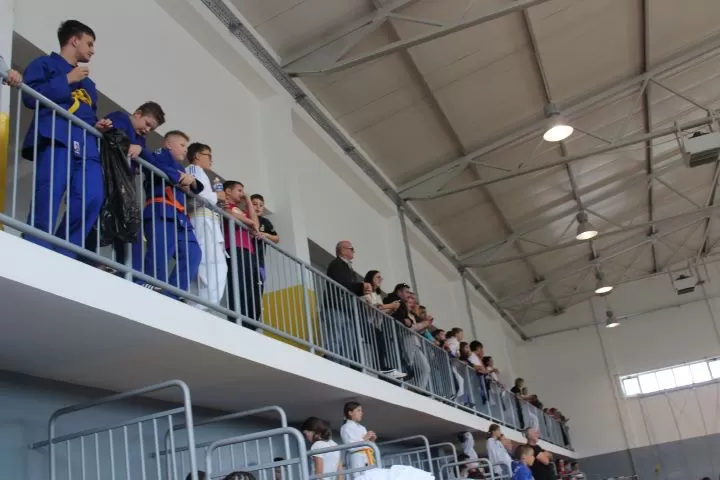 MEĐUNARODNI KUP JUDO KLUBA „SLAVONAC“:  Sudjelovao 331 natjecatelj iz pet država-četvrto mjesto čaglinskih judaša