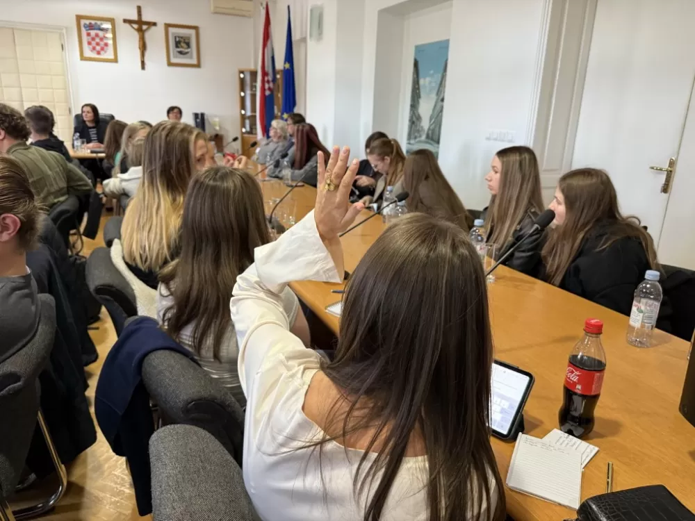Od Skandinavije do Save: Švedski učenici oduševljeni Slavonskim Brodom