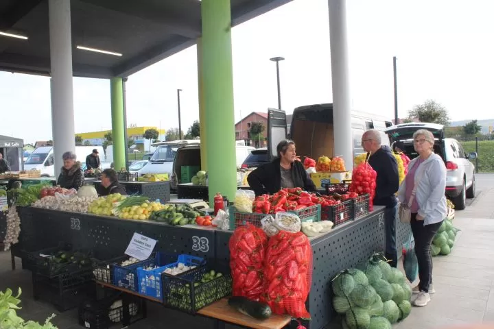 Marica Kožumanac iz Zagrađa i članice Hrvatskog ženskog društva pripremili najbolji ajvar