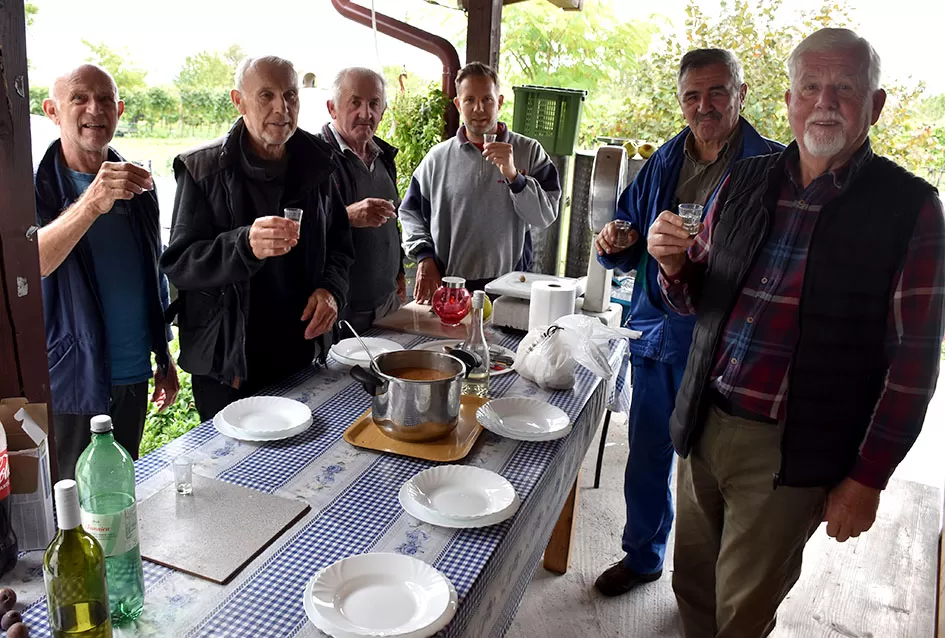 Uz graševinu u vinogradu Bože Bokšića je i petnaestak sorti stolnog grožđa