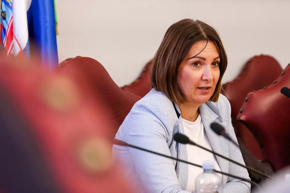 Požeško-slavonska županija i dalje izvan zona ograničenja, stožer predstavio nove mjere zaštite od afričke svinjske kuge