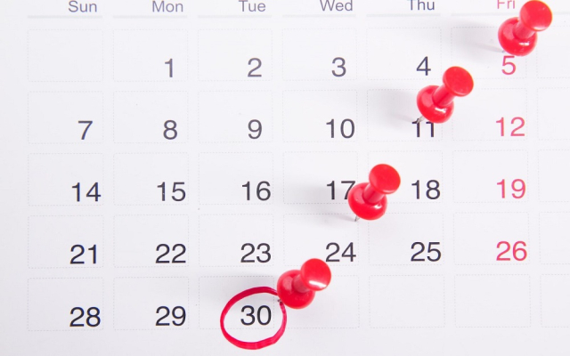 SB Online | Kalendar za 2024, ljubitelji spajanja doći će na svoje