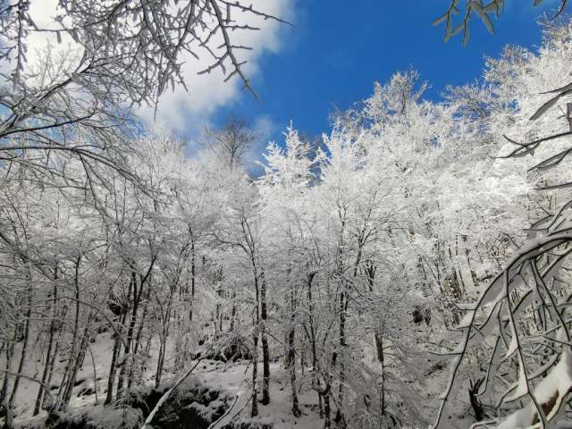 Požega.eu | Bajkoviti Papuk: Pogledajte fotogaleriju snježnih prizora s Jankovca