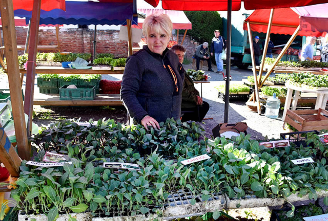 Požega.eu | Požeška Zelena tržnica u znaku presadnica povrća i cvijeća