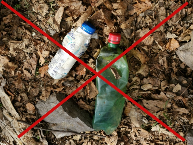 Požega.eu | Priroda je čudo: Odvojimo malo vremena i očistimo Papuk od smeća 