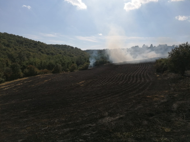 Požega.eu | Požar kod Komušine: Izgorjela površina veća od tri hektara