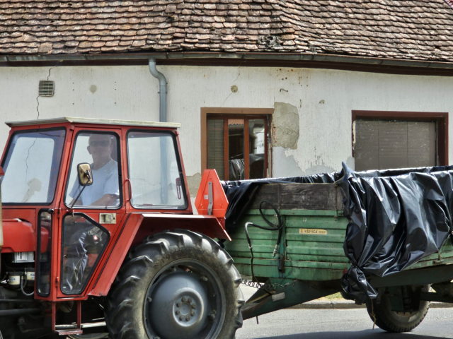 Požega.eu | Berbe su u tijeku: Najučestalije prijevozno sredstvo na kutjevačkim ulicama ovih je dana - traktor