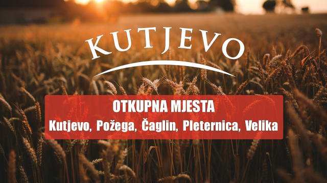 Požega.eu | Otkup uljarica i žitarica kod dokazanog i pouzdanog poslovnog partnera – Kutjevo d.d.