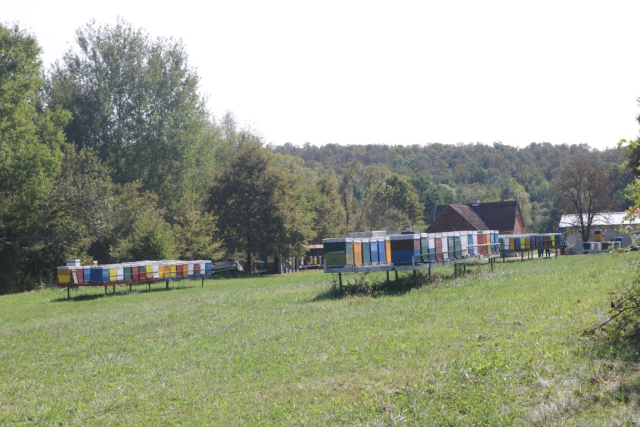 Požega.eu | Požeški pčelar Željko Balen jedini u našoj zemlji oformio energetski neovisan i samoodrživ pčelinjak /FOTO/