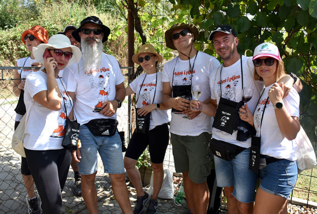 Požega.eu | [FOTOGALERIJA] Uz jelo i piće kaptolačkim vinogradima prošlo više od četiri stotine sudionika