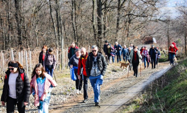 Požega.eu | Zimski vincelovski pohod od Pleternice do Starca i Viškovačkog grada