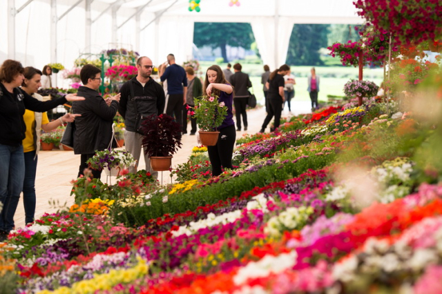 SB Online | Cvjetni vikend u Tvrđavi Brod: U subotu počinje 17. izdanje Florafesta