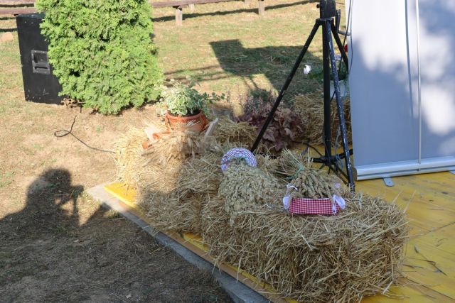 Običaji Slovaka sa dodatkom onih iz slavonskog kraja, te Čeha i Mađara