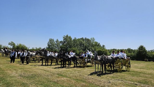 Konji vrani - povorka svatovskih zaprega i jahača u Velikoj Kopanici