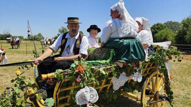 Konji vrani - povorka svatovskih zaprega i jahača u Velikoj Kopanici
