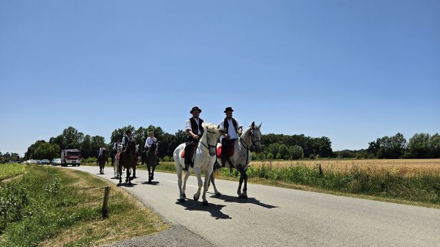Konji vrani - povorka svatovskih zaprega i jahača u Velikoj Kopanici