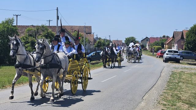 Konji vrani - povorka svatovskih zaprega i jahača u Velikoj Kopanici
