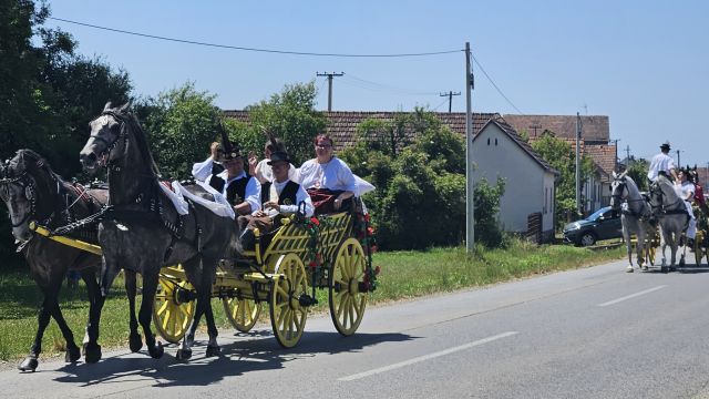 Konji vrani - povorka svatovskih zaprega i jahača u Velikoj Kopanici