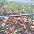 Izdvojeno