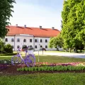 Javni poziv za iskaz interesa za uključivanje korisnika u projekt „Zaposlena – faza IV“